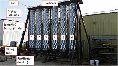 An Assessment of Ambient and Heated Forced Air Drying Pre-treatments for Enhancing the Quality of Various Forest Biomass Feedstocks